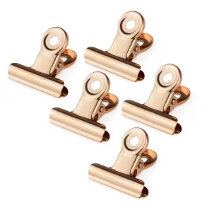 Molas Pinch Rose Gold (Conj. 5 un.)