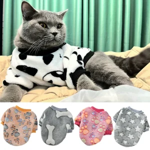 Roupa Quentinha para Cães e Gatos